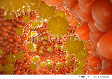 Intestinal villi, mucosa intestinal. Bacteria and microbes in intestines. Microscopic villi and 50478680
