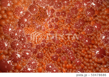 Intestinal villi, mucosa intestinal. Bacteria and microbes in intestines. Microscopic villi and 50478686