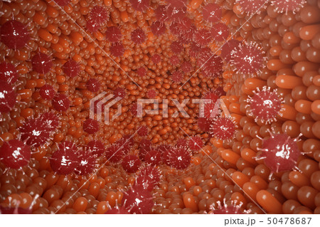 Intestinal villi. Intestine lining. Microscopic capillary. Human intestine. Concept of a healthy or 50478687