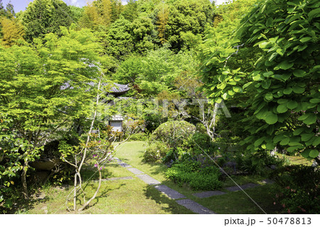 岡山県倉敷市 真備町 まきび公園 吉備寺 岡山県倉敷市 真備町 まきび公園 吉備寺 50478813