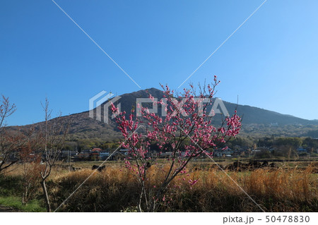 つくば霞ヶ浦りんりんロード　筑波休憩所 50478830