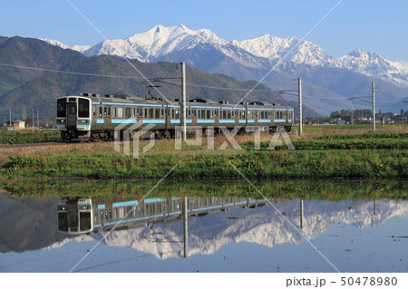 大糸線 北アルプス山麓の春 大糸線 北アルプス山麓の春 50478980