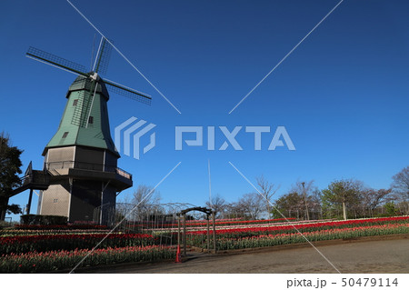 霞ヶ浦総合公園 霞ヶ浦総合公園 50479114