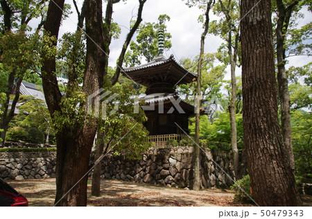 徳光院 多宝塔 徳光院 多宝塔 50479343