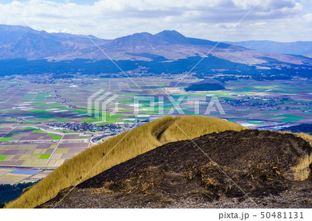 大観峰　野焼き後の風景　【熊本県阿蘇市】 50481131