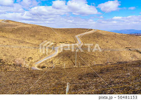 大観峰　野焼き後の風景　【熊本県阿蘇市】 50481153