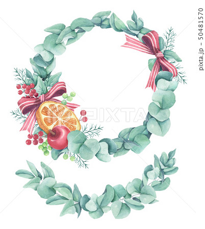 Eucalyptus leaves wreath 50481570