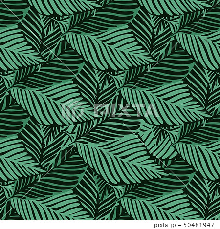 Abstract tropical pattern, palm leaves seamless 50481947