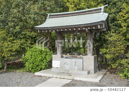 龍口明神社の手水舎(鎌倉市腰越) 龍口明神社の手水舎(鎌倉市腰越) 50482127