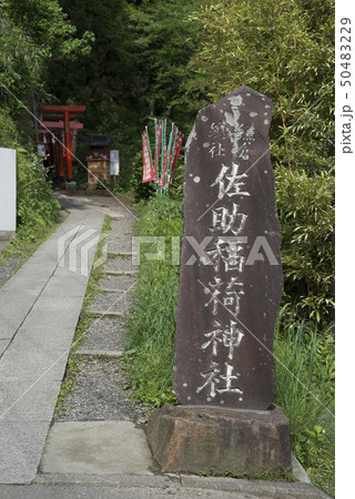 佐助稲荷神社（鎌倉市佐助） 50483229