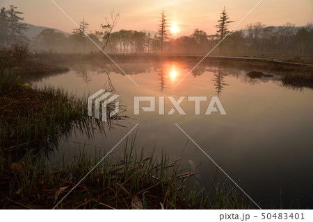 尾瀬ヶ原の池塘と木道に燧ヶ岳と朝日 50483401