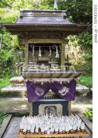 佐助稲荷神社(鎌倉市佐助) 佐助稲荷神社(鎌倉市佐助) 50483503