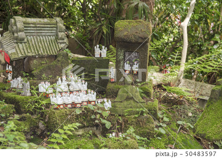 佐助稲荷神社(鎌倉市佐助) 佐助稲荷神社(鎌倉市佐助) 50483597