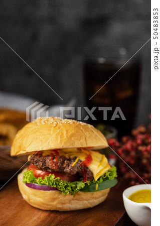 Hamberger with sauce Hamberger with sauce 50483853