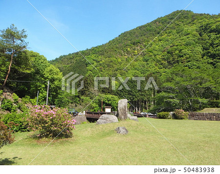 豊稔池ダム 豊稔池ダム 50483938