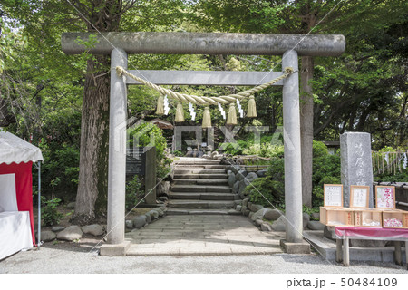 葛原岡神社（鎌倉市梶原） 50484109