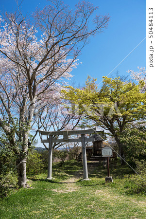 山城　月山富田城　春　 50484113