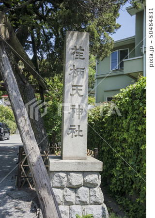 荏柄天神社(鎌倉市二階堂) 荏柄天神社(鎌倉市二階堂) 50484831