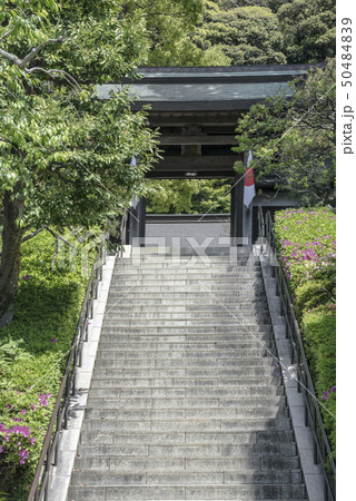 荏柄天神社（鎌倉市二階堂） 50484839
