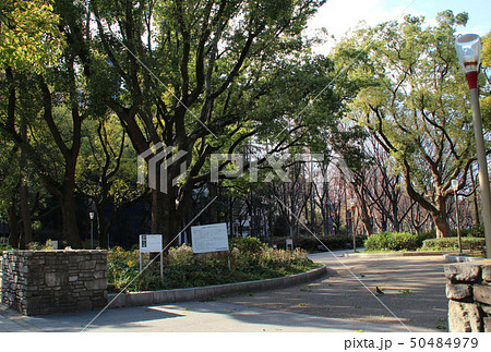 靭公園/大阪府大阪市西区靱本町 50484979