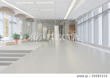 the hallway corridor interior empty corridor 50485324