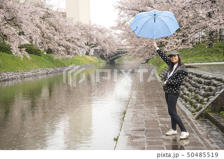 A tourist with Sakura in Rainy day 50485519