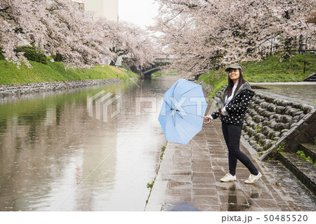 A tourist with Sakura in Rainy day A tourist with Sakura in Rainy day 50485520