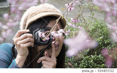 A traveler Sightseeing in Japan Cherry blossom A traveler Sightseeing in Japan Cherry blossom 50485532