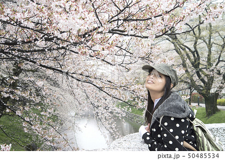 A traveler Sightseeing in Japan Cherry blossom A traveler Sightseeing in Japan Cherry blossom 50485534
