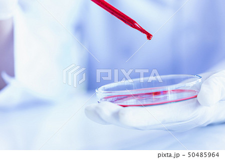 Scientist dropping liquid to petri dish.. 50485964