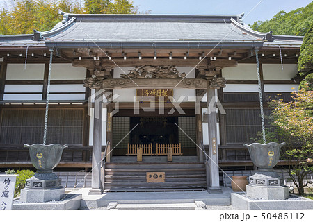 報国寺(鎌倉市浄明寺) 報国寺(鎌倉市浄明寺) 50486112