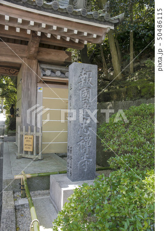 報国寺（鎌倉市浄明寺） 50486115