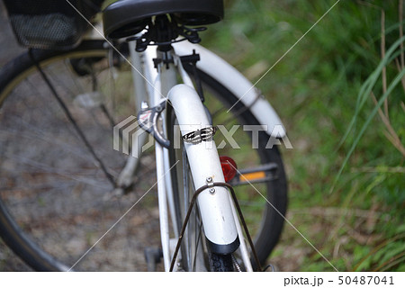 自転車に留まったコミスジ蝶 自転車に留まったコミスジ蝶 50487041