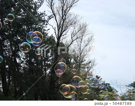 シャボン玉 50487589