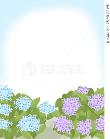 紫陽花フレーム縦のイラスト素材