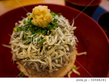 shirasu don(rice topped with Japanese small fish) shirasu don(rice topped with Japanese small fish) 50488281