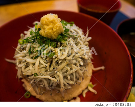 shirasu don(rice topped with Japanese small fish) shirasu don(rice topped with Japanese small fish) 50488282