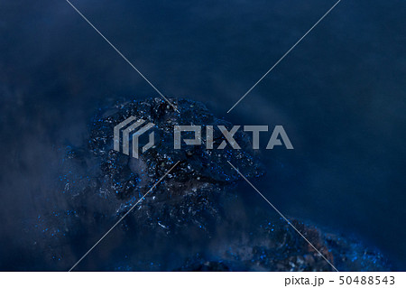 夜光虫 夜光虫 50488543