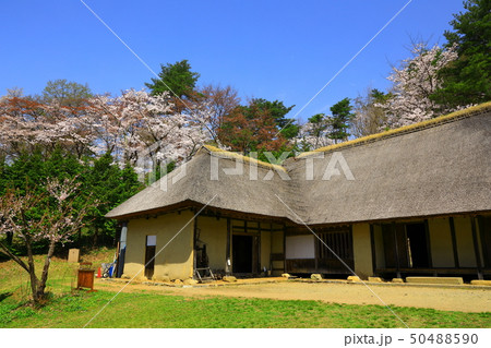 春のみちのく民俗村 50488590