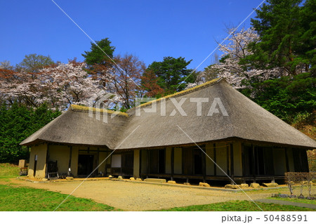 春のみちのく民俗村 50488591