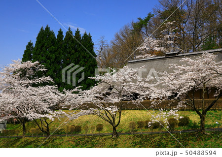 春のみちのく民俗村 50488594