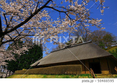 春のみちのく民俗村 50488595
