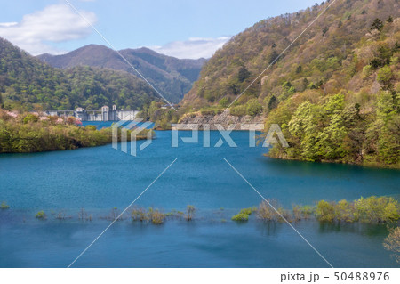 新緑の奥四万湖 50488976