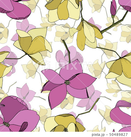 Vector Magnolia floral botanical flowers. Purple and yellow engraved ink art. Seamless background 50489827