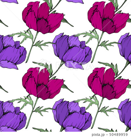 Anemone floral botanical flowers. Black and white engraved ink art. Seamless background pattern. 50489959