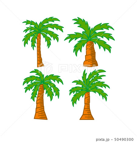 Palm trees isolated white background Vector Design Palm trees isolated white background Vector Design 50490300