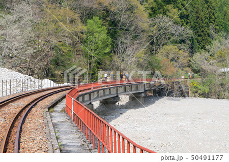 岐阜県　飛騨市神岡　レールマウンテンバイク　渓谷コース 50491177