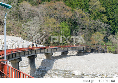 岐阜県　飛騨市神岡　レールマウンテンバイク　渓谷コース 50491188