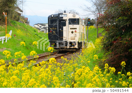 指宿のたまて箱 50491544