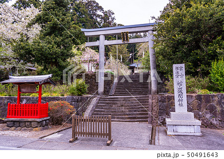 【静岡県富士宮市】村山浅間神社 春 【静岡県富士宮市】村山浅間神社 春 50491643